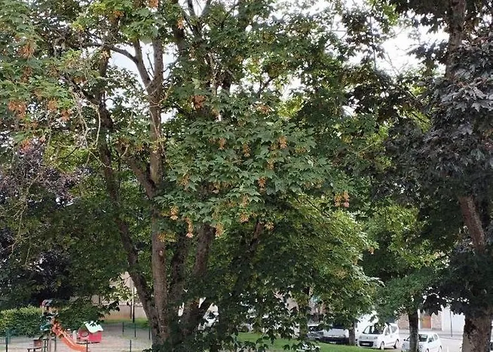 Independantes Et Lumineuses Alençon